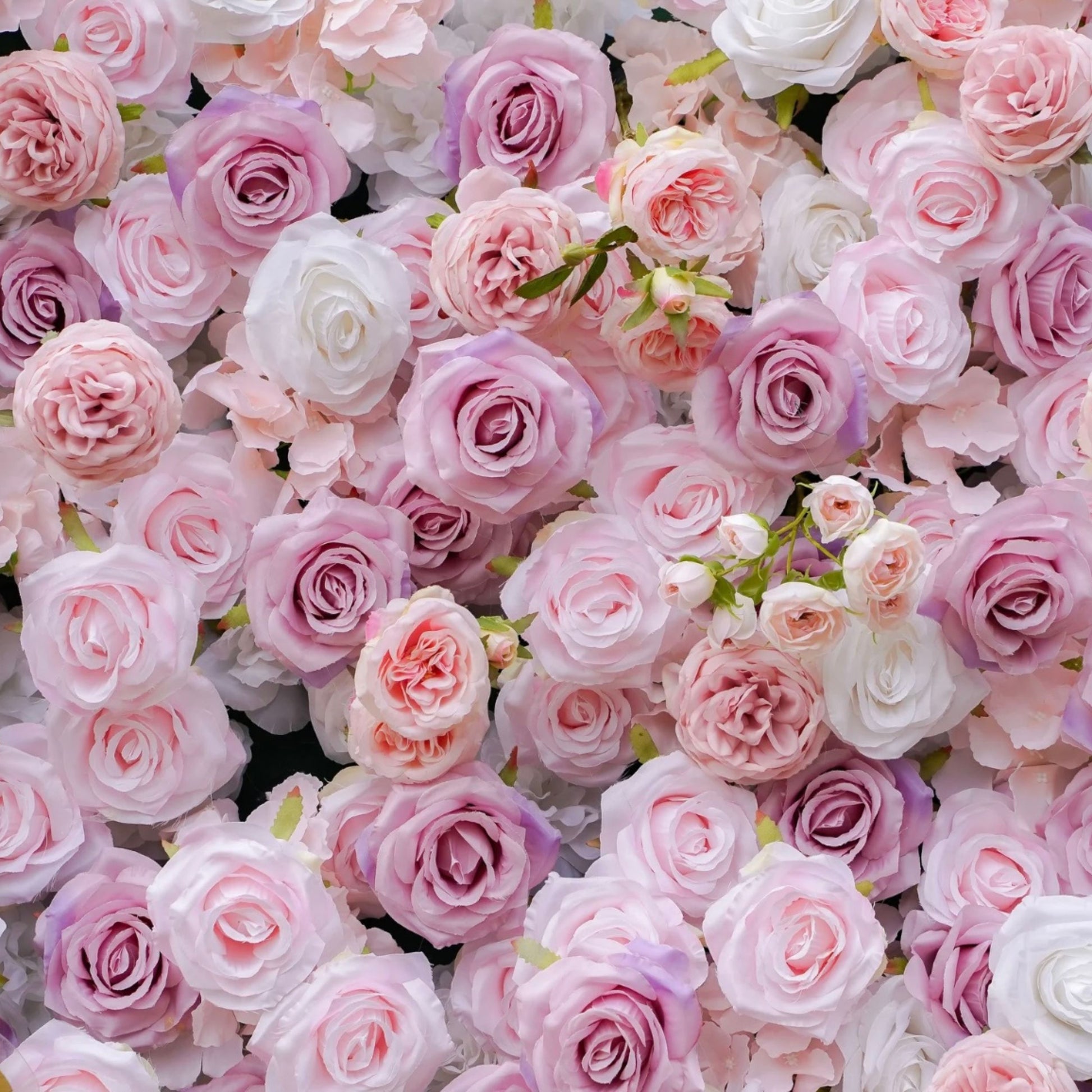 Pink Bliss flower wall sample showing partially open roses in various shades of pink and mauve tones