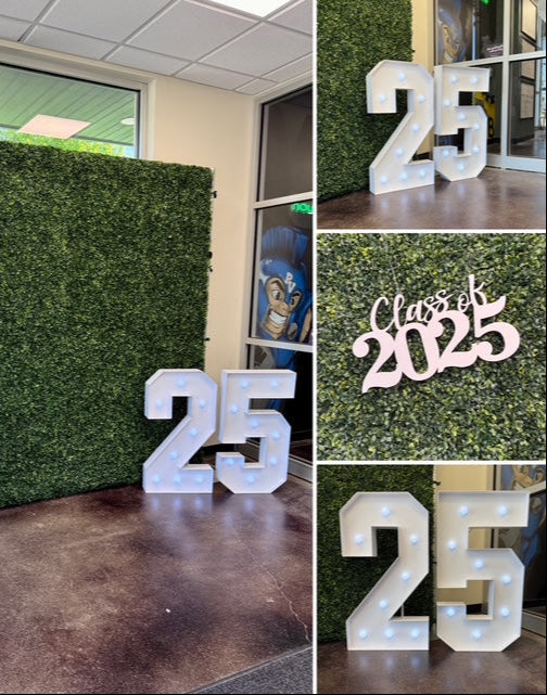 Greenery wall backdrop with marquee numbers and class of 2025 sign